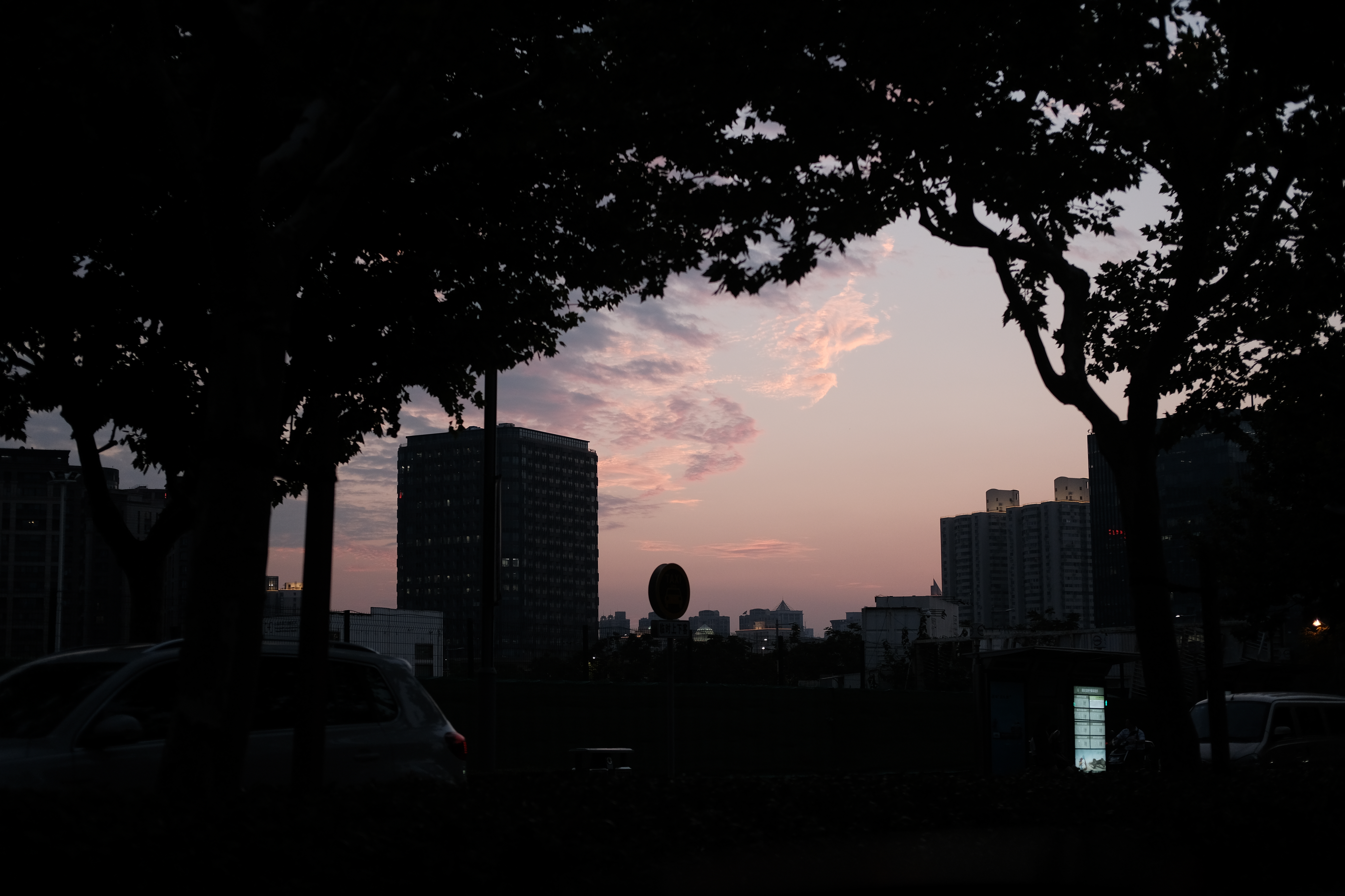 02.jpg