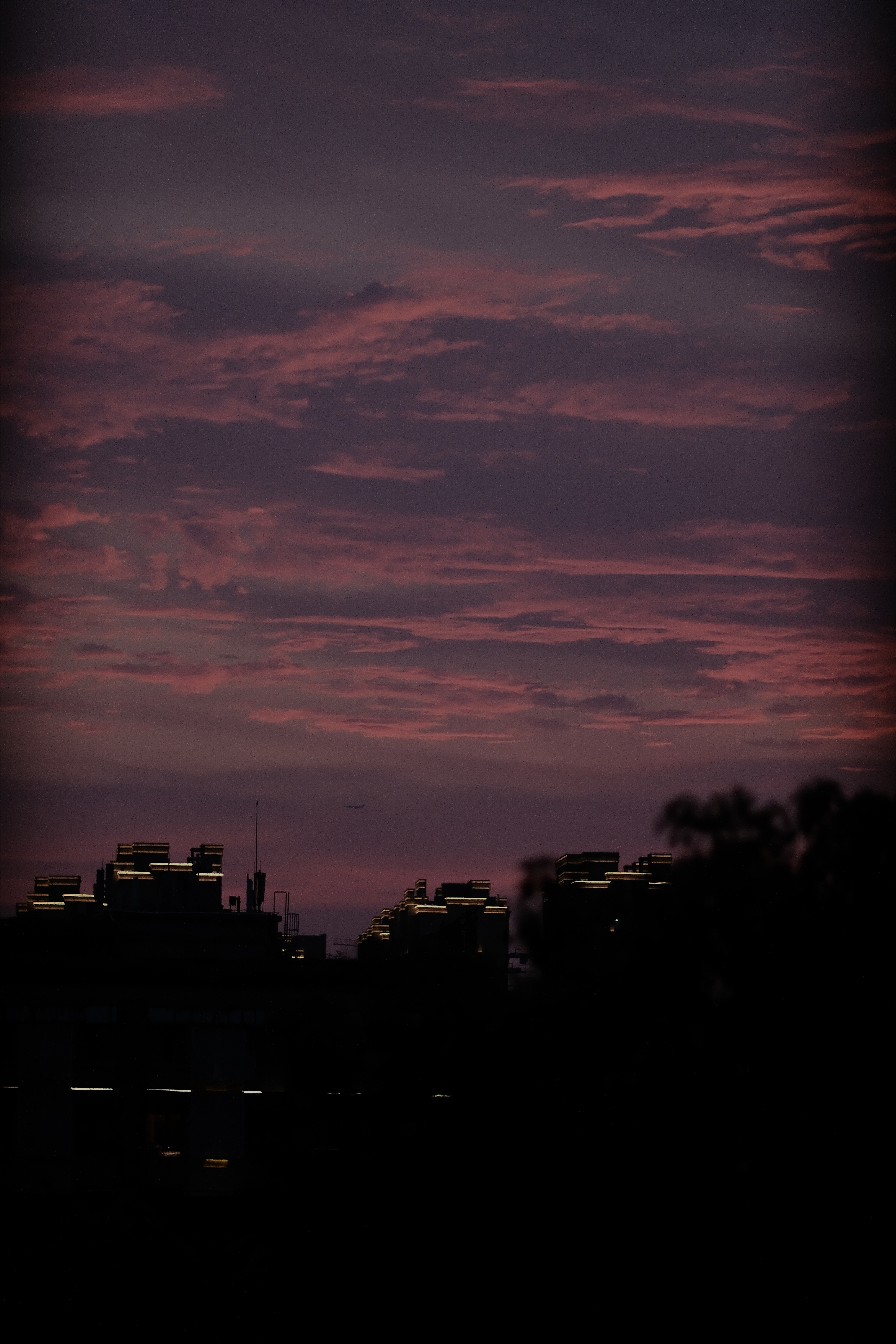 7A4BE5A9-A613-4064-9E49-42F3B7CDD564-37996-00000F8D758F6933.jpg